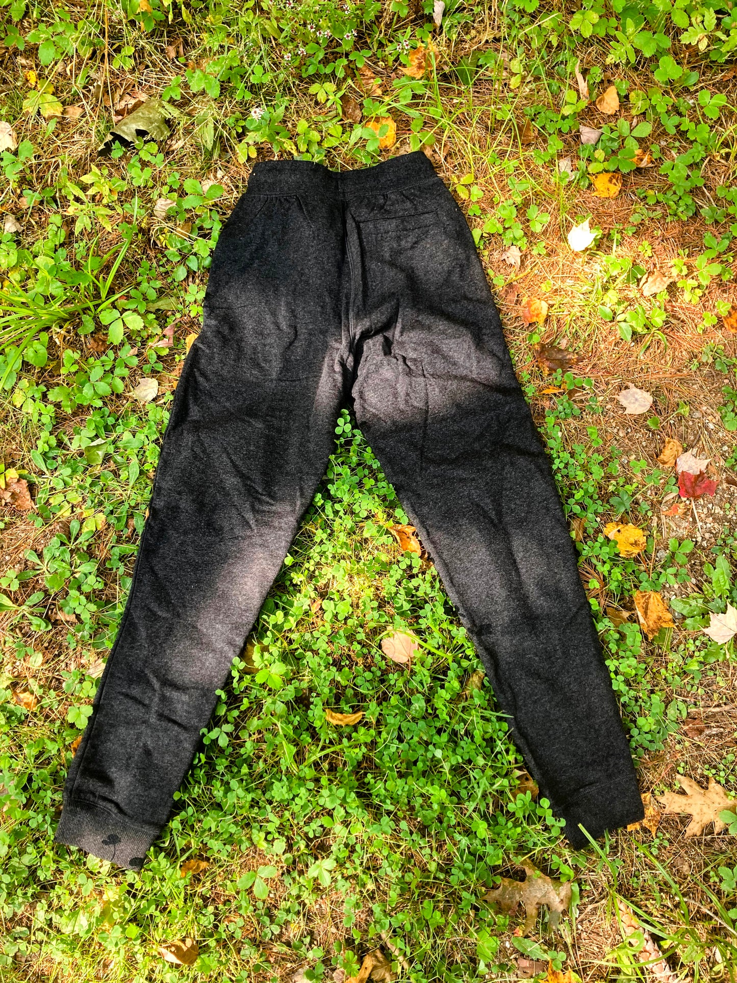Joggers